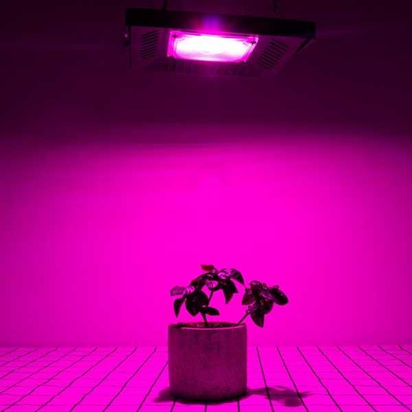 50W Full Spectrum LED Grow Light for Indoor Plants & Hydroponic Gardening