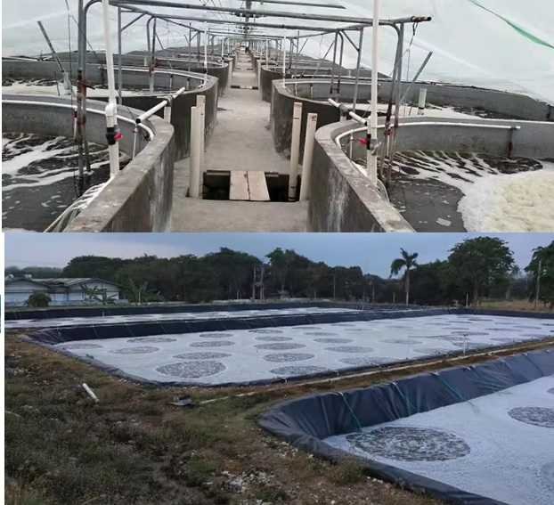 Nano Bubble Tube Diffuser Aeration for Ponds, Lakes, Biofloc , IPRS Fish Farming , Aquarium , Aquaponics ,hydroponics best quality smooth surface (Diameter 10/20mm)