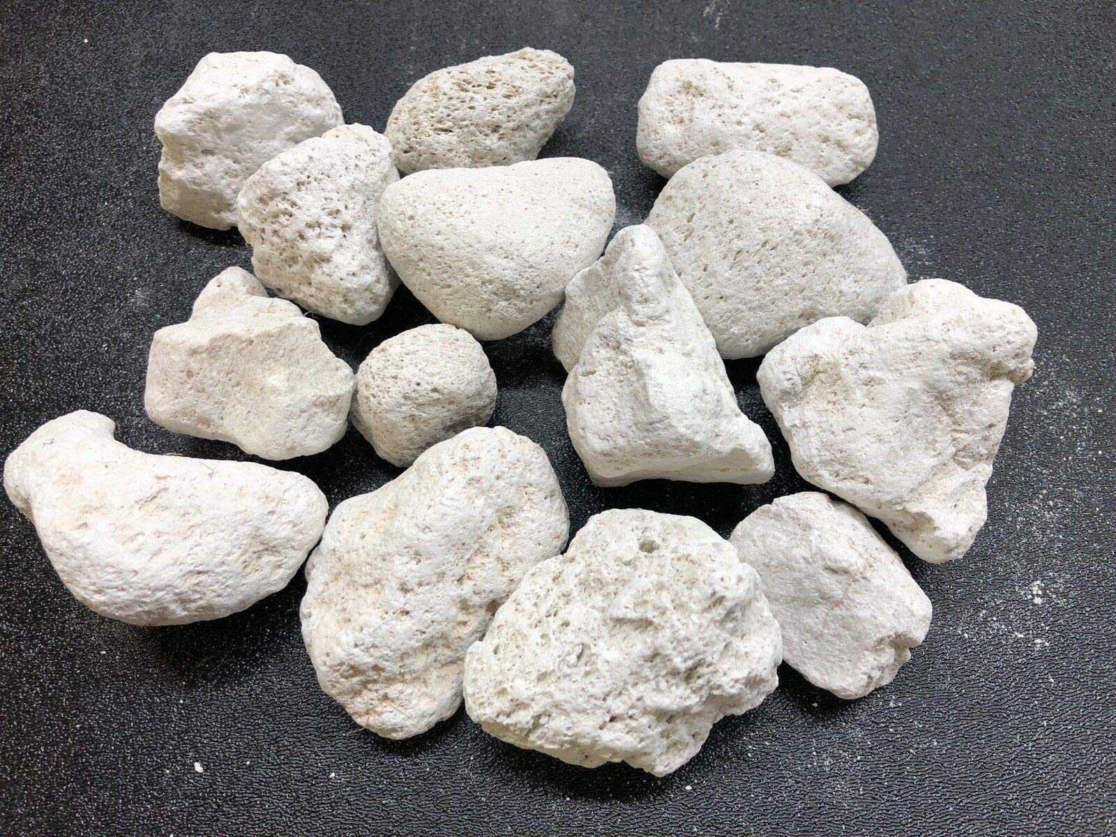 Pumice Stone Filter Media for Aquarium Natural Premium Quality Dust free Moisture free Size 15-25 mm Agriculture Grade