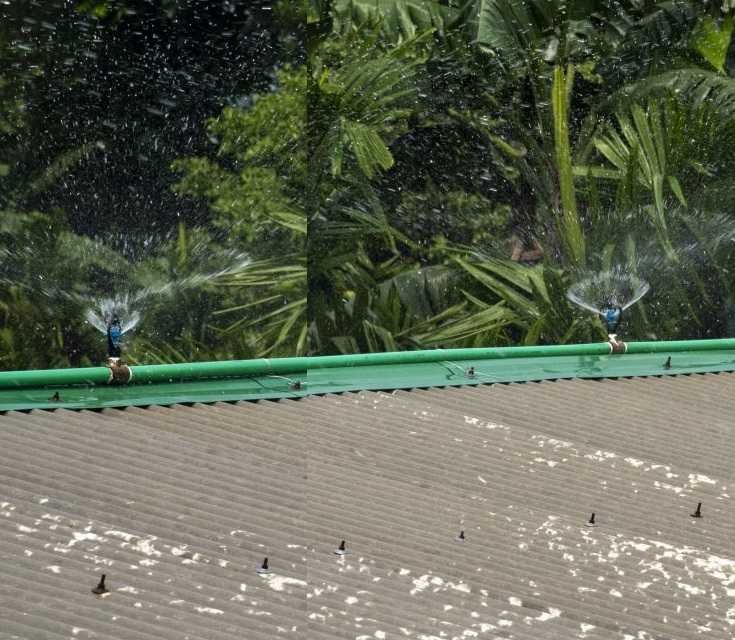 Butterfly Sprinkler Plastic 360 Degree Rotating 1/2 Inch Agricultural Garden Irrigation Water Sprinkler - 05 pcs