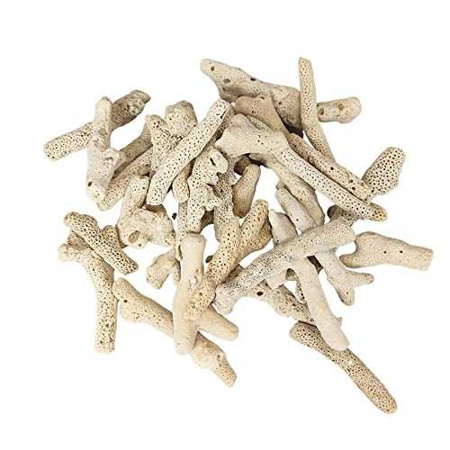 Natural Coral Bone Stone Marine Aquarium Fish Tank Filter Media Bottom Sand 1.1lb (500 G)