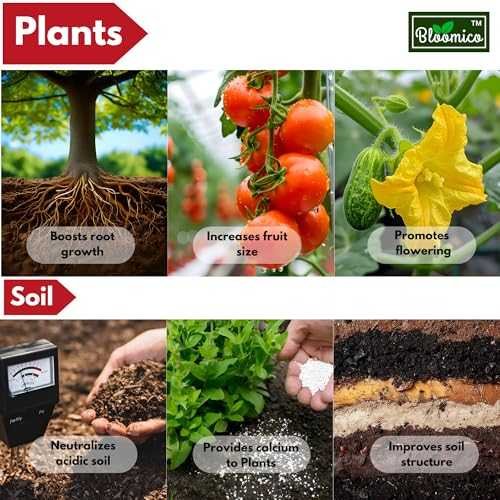 Calcium Carbonate Powder CaCO₃ for Biofloc, Fish Tanks, Water pH Balance, Soil, Plants,Swimming Pool Disinfectant & Building Materials - 25 kg Fresh Brand ,Mash -400